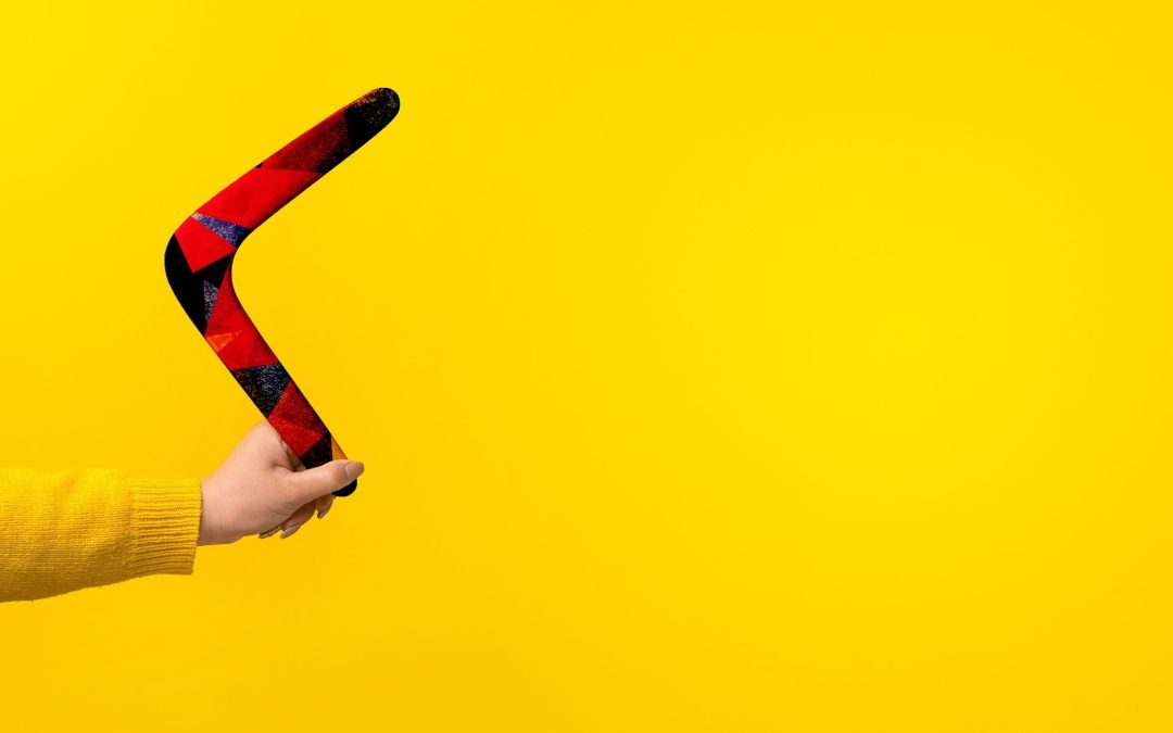 Why Do Boomerangs Come Back?